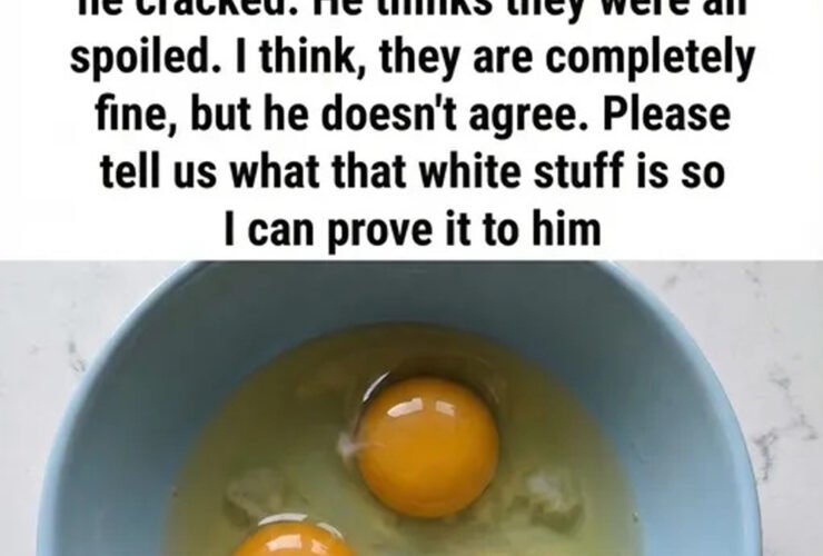 What Is the White Strand in Eggs? A Simple Explanation 27 ba99